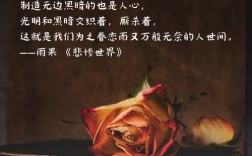 在黑暗中寻求光明名言，在黑暗中寻求光明下一句