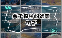 森林名言藏着怎样的自然智慧？