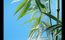 虚心名言有何深意？