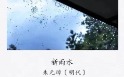 《雨水》诗歌，雨水》诗歌朗诵视频