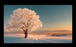 名言为何会被公开？