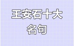 王安石名言有何深意？