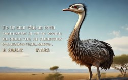 鸵鸟名言，鸵鸟的名言