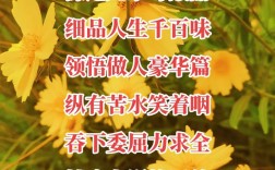 人生的赞美诗歌，藏着怎样的生命回响？