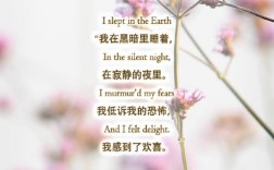 外国诗歌为何能触动人心之美？