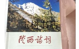 陕西 诗歌，陕西诗歌