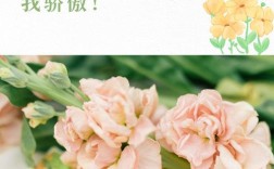 皱纹里藏着怎样的诗歌密码？