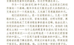 诗歌观后感，何为诗魂？