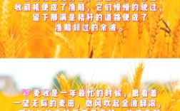 麦穗名言，麦穗的名言