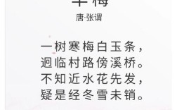 早梅诗歌，早梅诗歌鉴赏