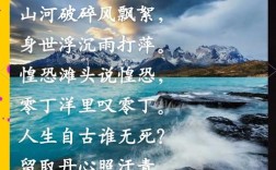 过零丁洋诗中丹心何指？