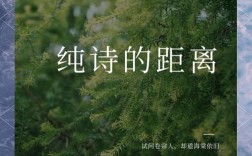 距离 诗歌，距离诗歌原文