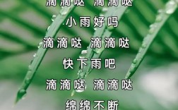 诗歌小小雨点，小小雨点儿歌视频