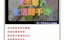 生命是什么的小诗歌