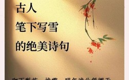 雪落无声，诗意何在？