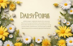 雏菊的诗歌，雏菊的诗歌现代