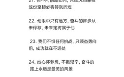 关于为理想奋斗的名言
