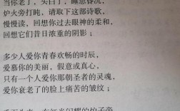 当你老了诗歌赏析，当你老了 诗歌鉴赏