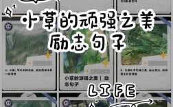 生命力名言，为何总令人震撼？