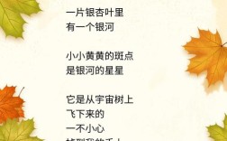 叶子藏着多少诗的密码？