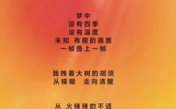 现代诗歌梦，何为诗之魂？