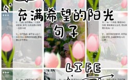 希望的名言名句