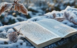 诗歌如霜，如霜诗词