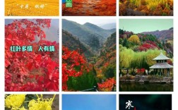 十月诗韵何处寻？