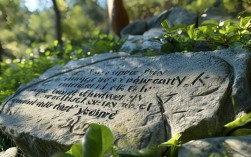 名言金句还新鲜吗？这些有趣语录你听过几条？