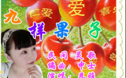 诗歌九，诗歌九样果子原唱