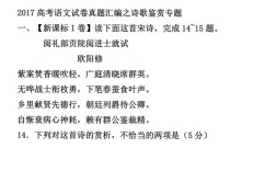 2017高考诗歌鉴赏，2017年高考诗歌鉴赏