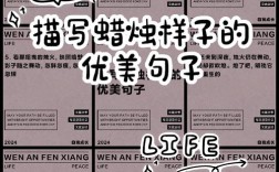 烛火名言，藏着怎样的生命哲思？