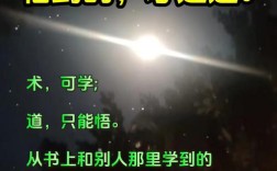 道术名言，何为根本？