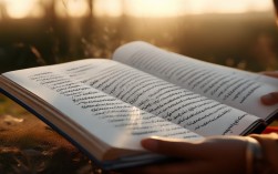 诗歌我愿，是愿诗还是愿己？