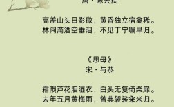 母爱何以伟大如诗？