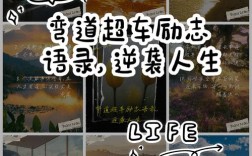 弯路名言，弯路名言名句