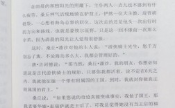 堂吉诃德诗歌有何独特魅力与象征意义？