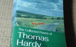 哈代诗歌有何独特魅力？