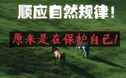 尊重自然规律的名言，尊重自然规律的名言警句