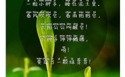 种子如何开出诗歌的花？