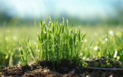 春芽诗歌新作上线，哪首最打动你？