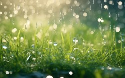 小雨点诗歌藏着孩子怎样的童真世界？