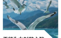 无能的名言，无能的名言警句