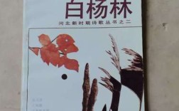 杨林诗歌有何独特魅力？