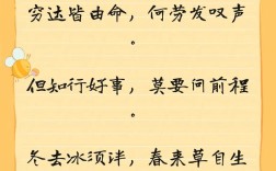 叶良辰名言有何魔力？