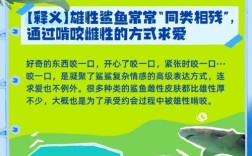 鲨鱼名言，鲨鱼名言名句