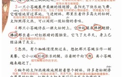 琥珀的诗，凝固了时光还是灵魂？