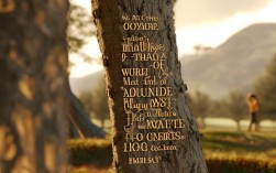 2025年如何用挫折名言激活职场逆商？