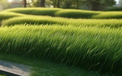 描写小草的诗歌，描写小草的诗歌现代诗