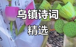 乌镇的名言短句，乌镇名言名句